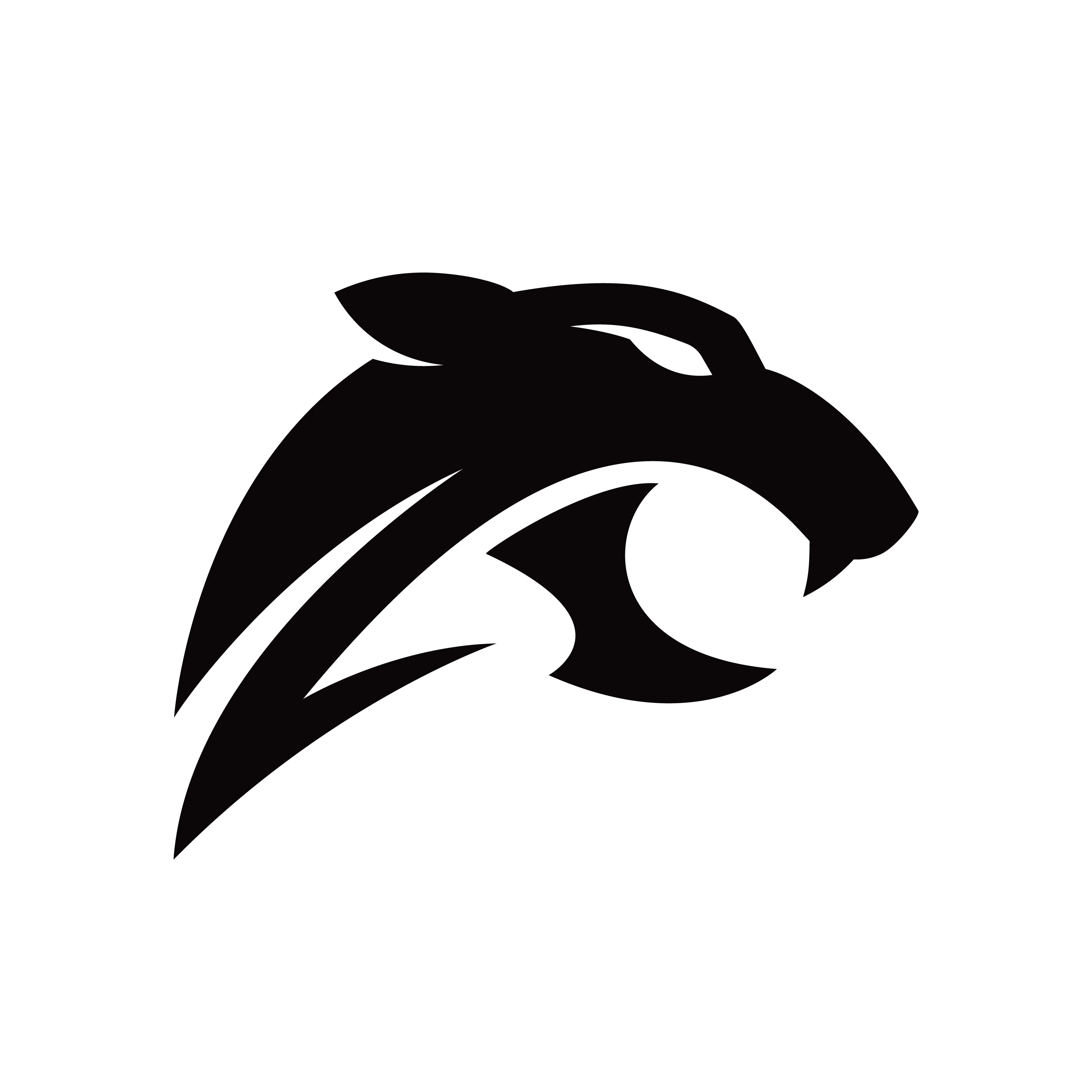 SWE Contracting Logo